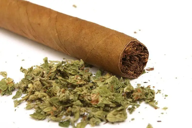 How to roll a perfect backwoods blunt