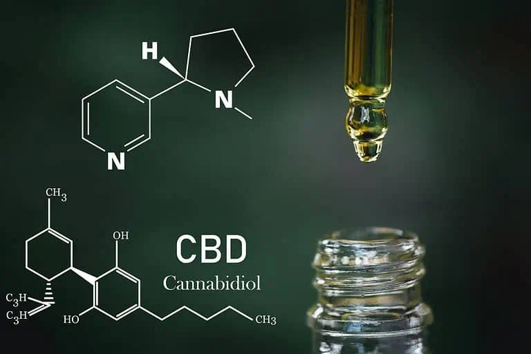 Cbd and nicotine interaction: what you need to know