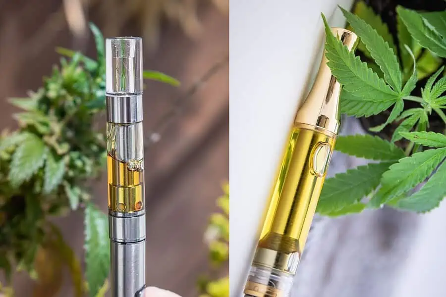 Sativa vs Hybrid Vape Pen Comparison