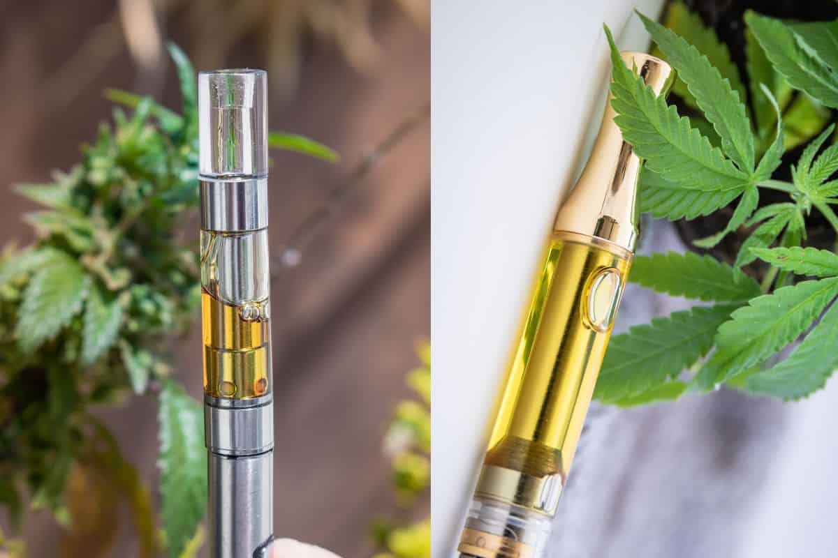 Sativa vs hybrid vape pen comparison