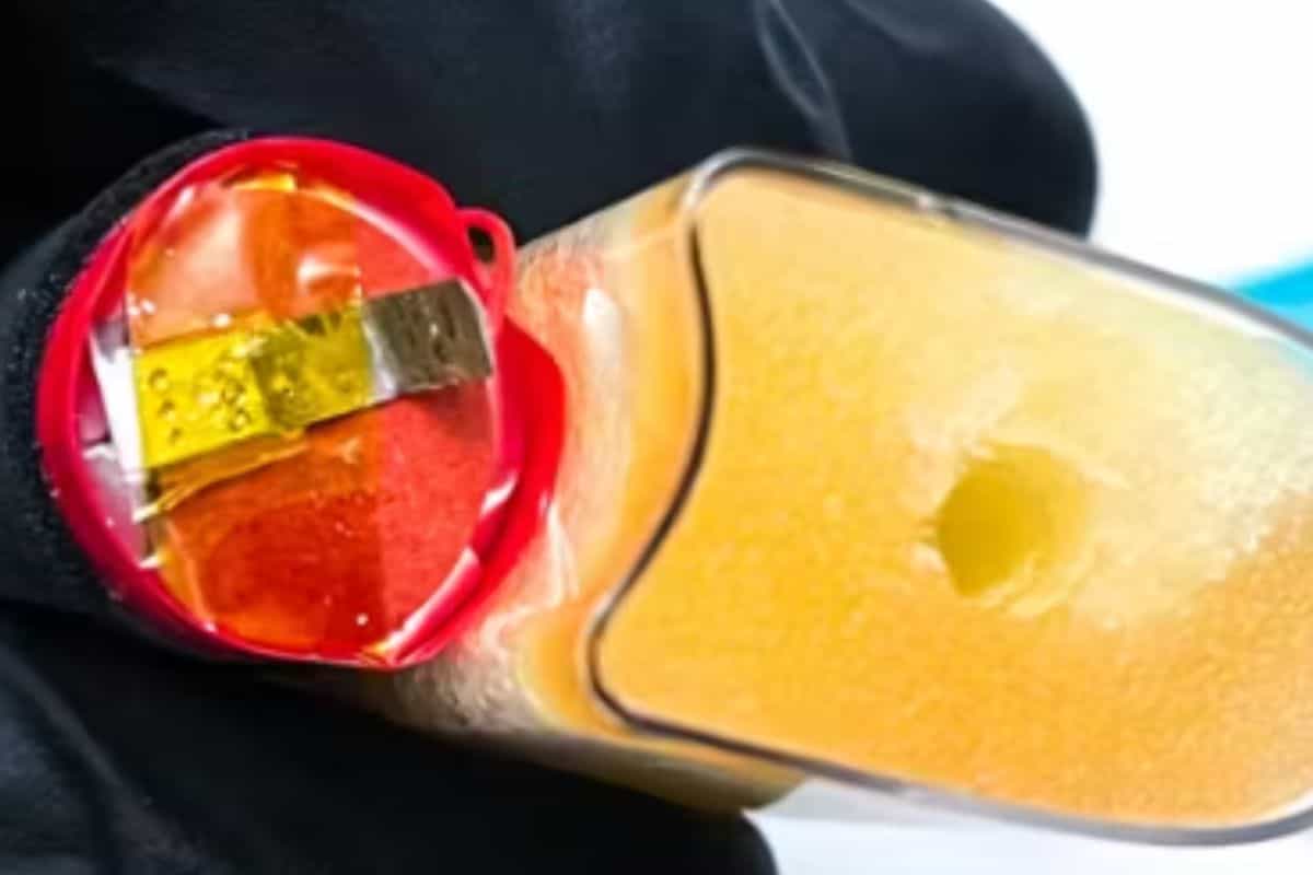 How to Fix a Burnt Elf Bar Expert Guide and Solutions