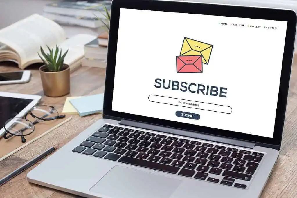 Newsletter Subscribe Button On a Website