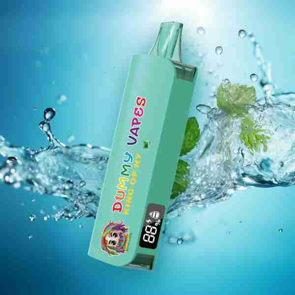 A bottle of Dummy Vapes 8000 Puffs 5% Disposable Vapes with a mint leaf floating in the water.